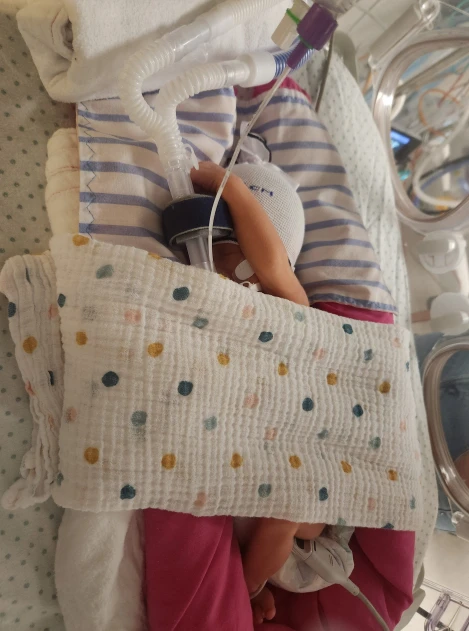 Pippa Mae – Our Determined Little Girl's Journey from Preterm Birth to Triumph 5927