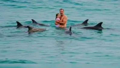 40 MINUTES IN THE OCEAN — WHEN DOLPHINS FORMED A LIVING SHIELD