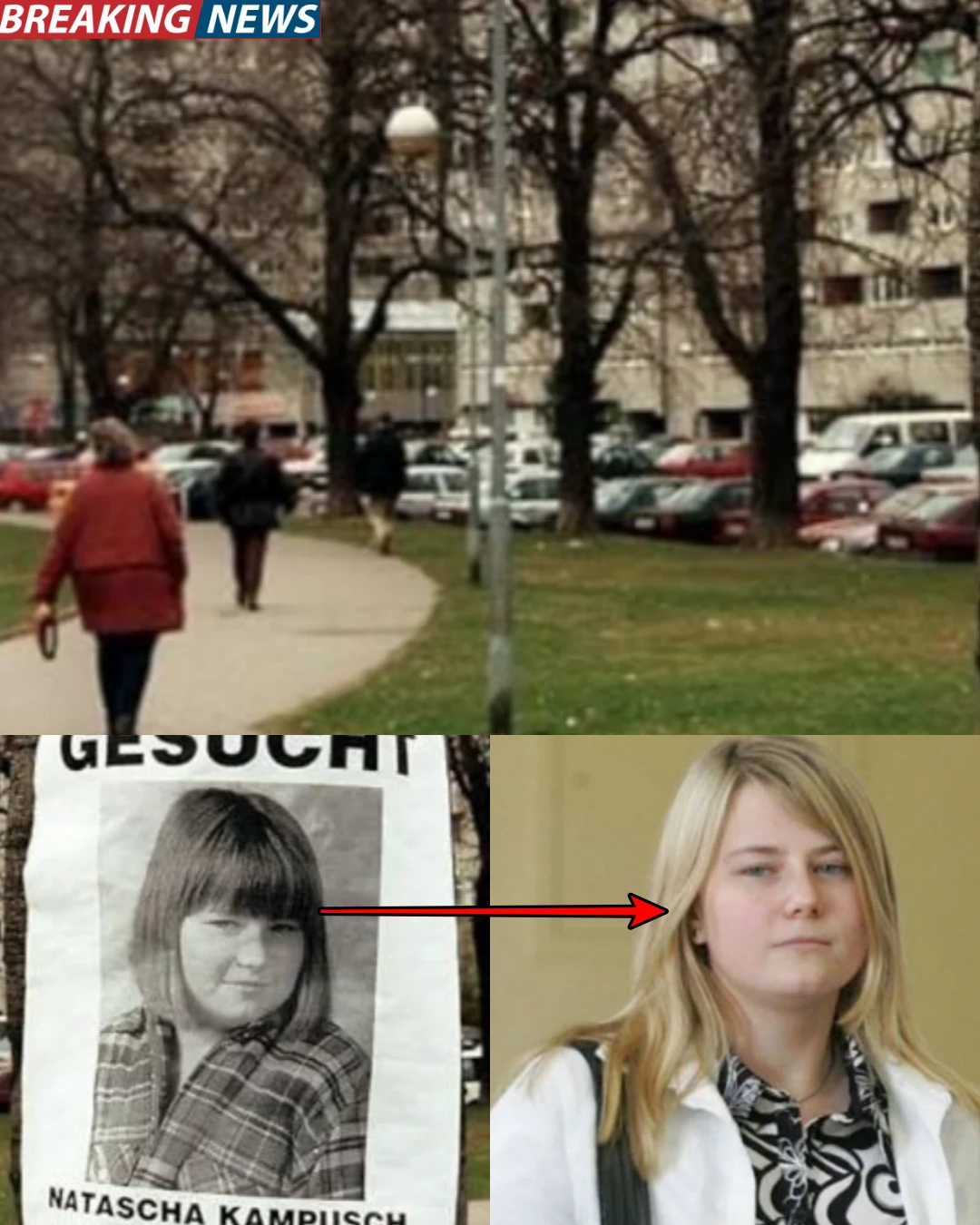 The Unimaginable: The Story of Natascha Kampusch’s Captivity and Her Brave Escape.1914s