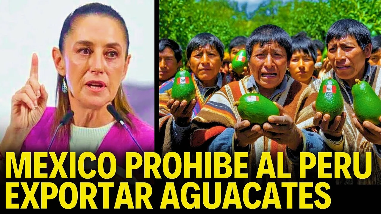  Guerra del aguacate: México y Perú desatan una batalla comercial sin precedentes