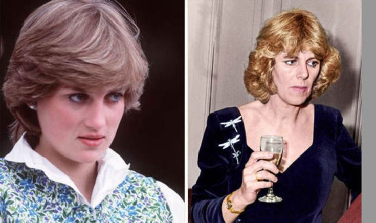 Princess Diana’s Heartbreaking Confession to Camilla — And the Royal Who Finally Spoke Up