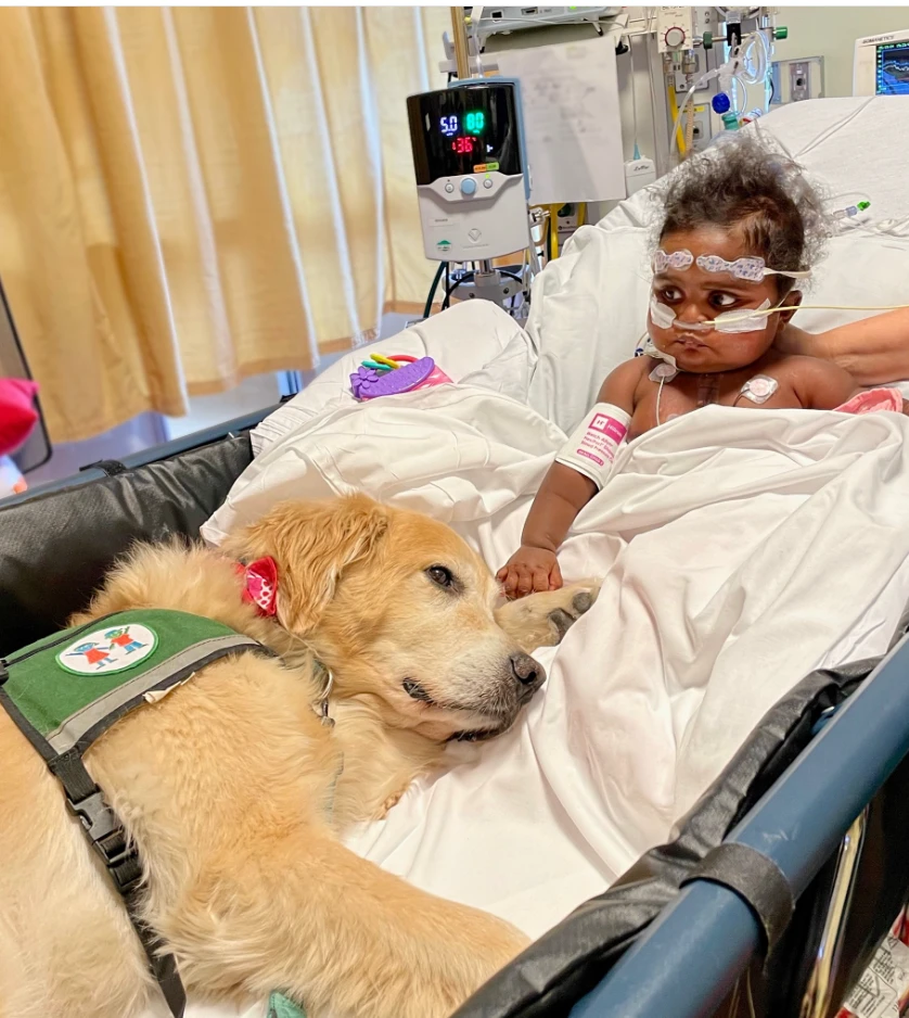 "Marliee’s Heartfelt Valentine: A New Heart, A New Beginning, and the Love of a Donor Family" 6024