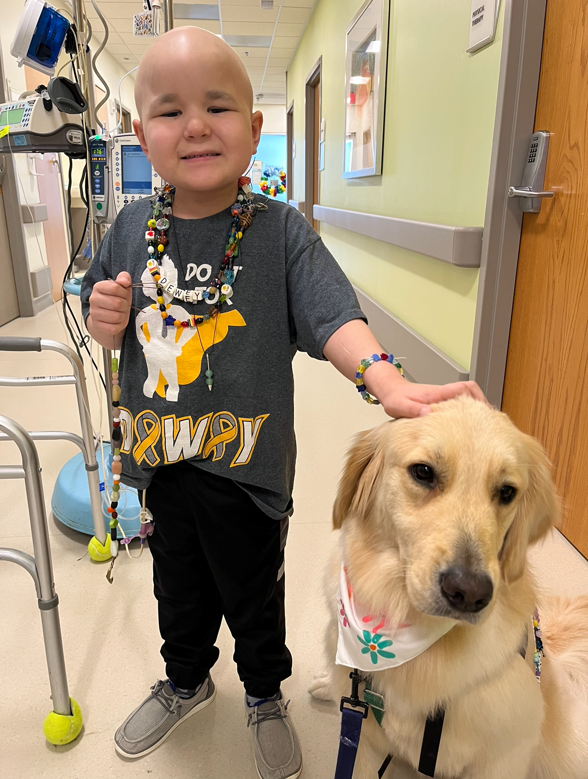 Dewey's Journey: Overcoming Medulloblastoma with Courage, Friendship, and Beads of Strength 5994