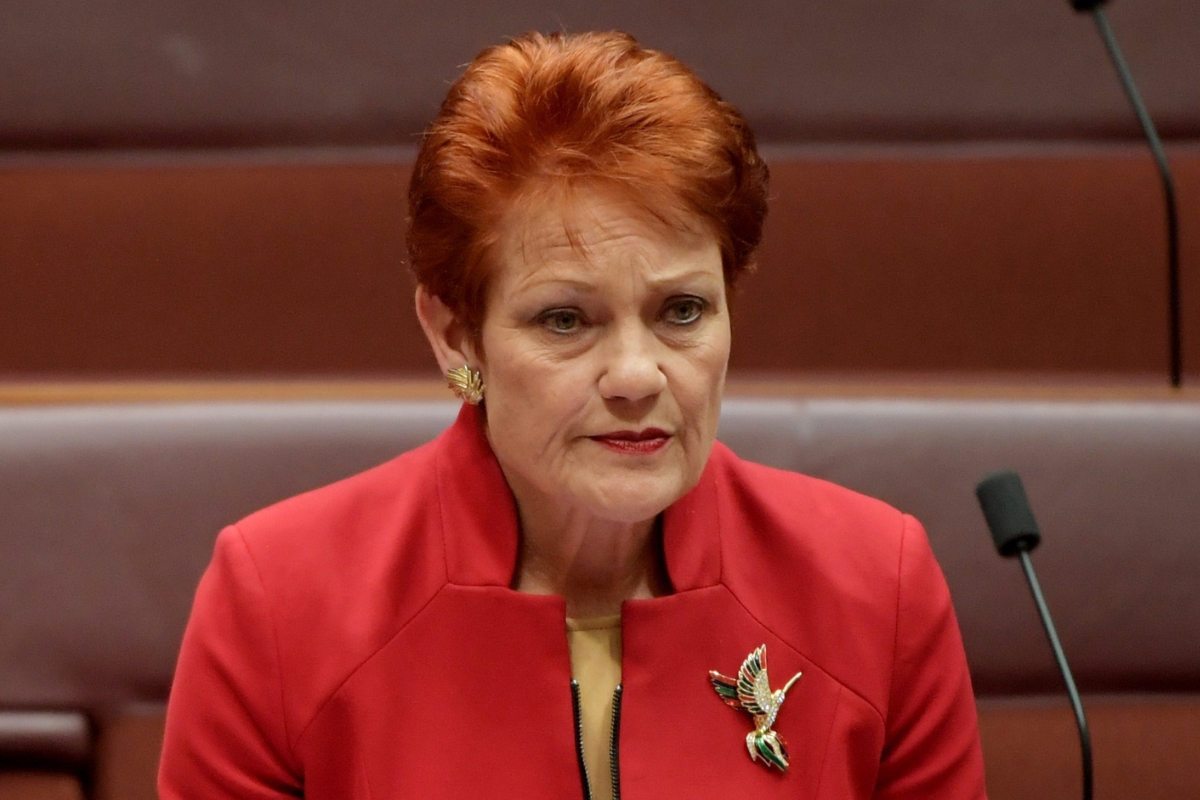 Pauline Hanson’s Secret Rescue Mission Saves 27 Animals and Ignites an Emotional Wave of Hope Across Australia - wnhuroyal