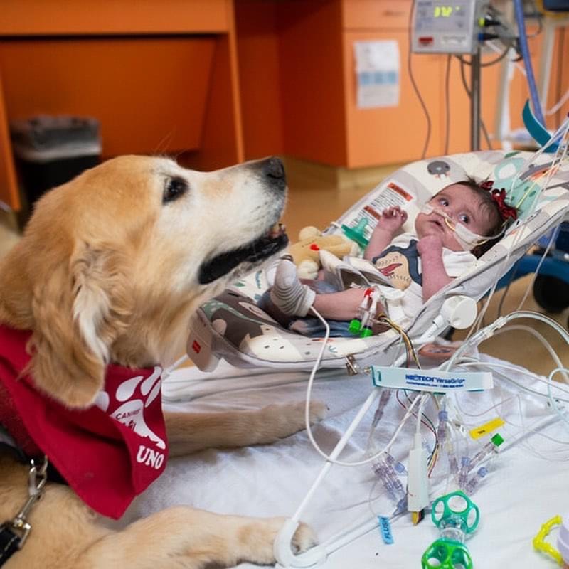 Macey’s Journey: Overcoming Hypoplastic Left Heart Syndrome with Strength, Courage, and the Support of a Loyal Sidekick 6014