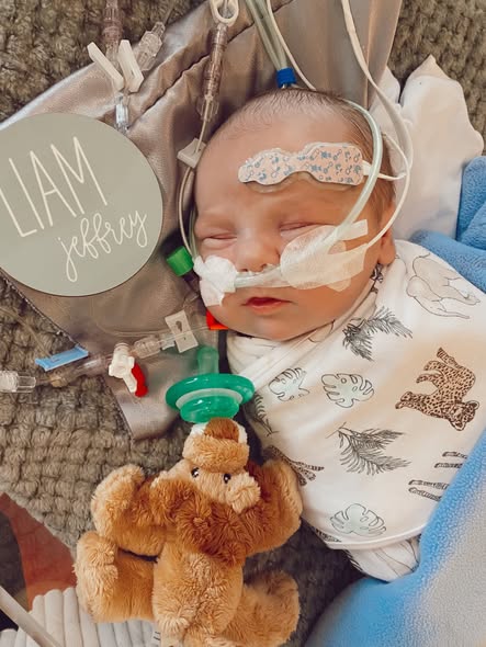 Liam’s Journey: A Heart Warrior’s Courage in the Face of Hypoplastic Left Heart Syndrome 6013