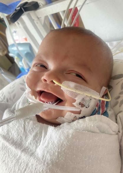 RJ's Journey: A Tiny Fighter's Unstoppable Will to Live 5977