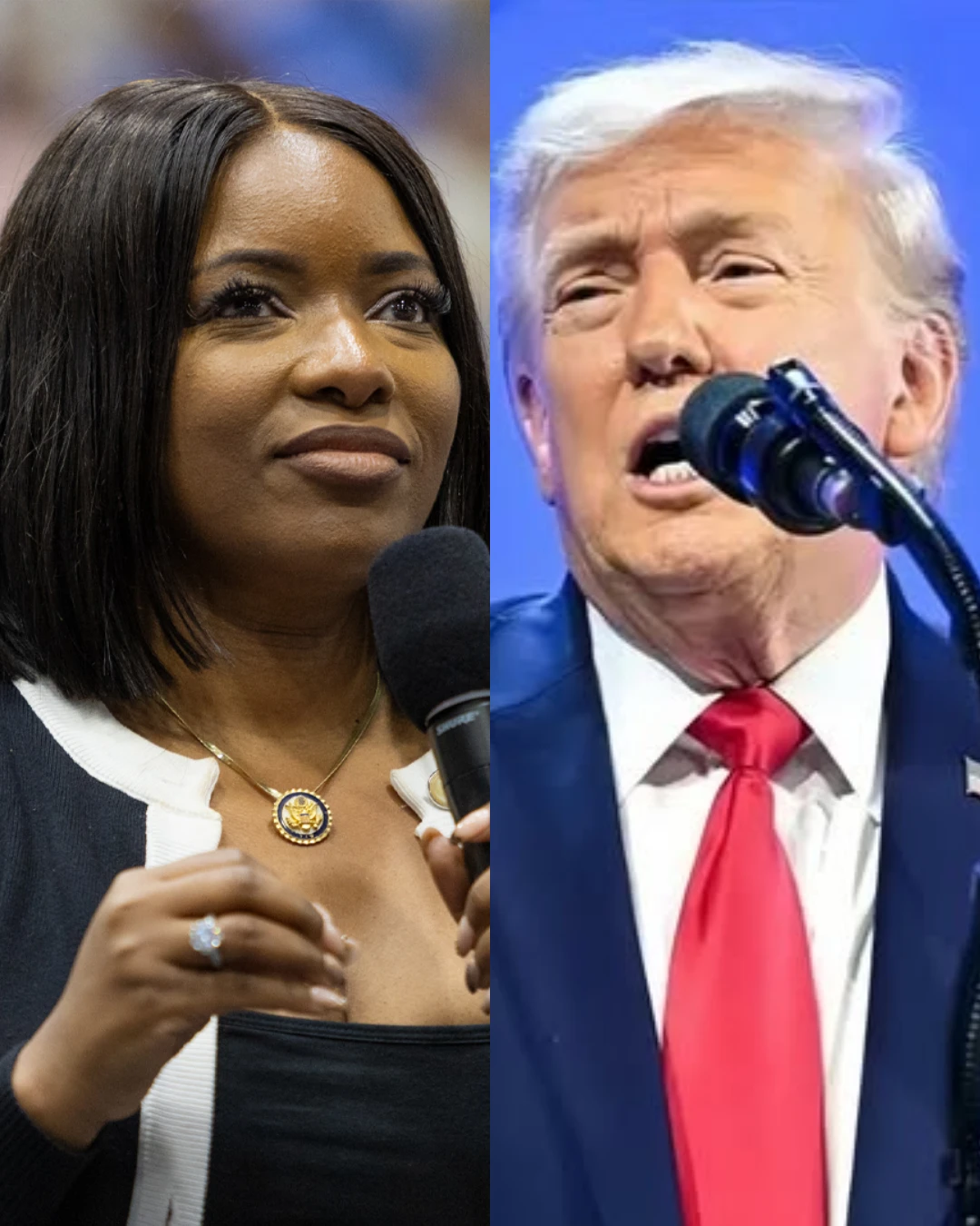 The Clash of Voices: Jasmine Crockett vs. Donald Trump A Political Firestorm Ignited — And the Unexpected Outcome That Changed Everything. 009