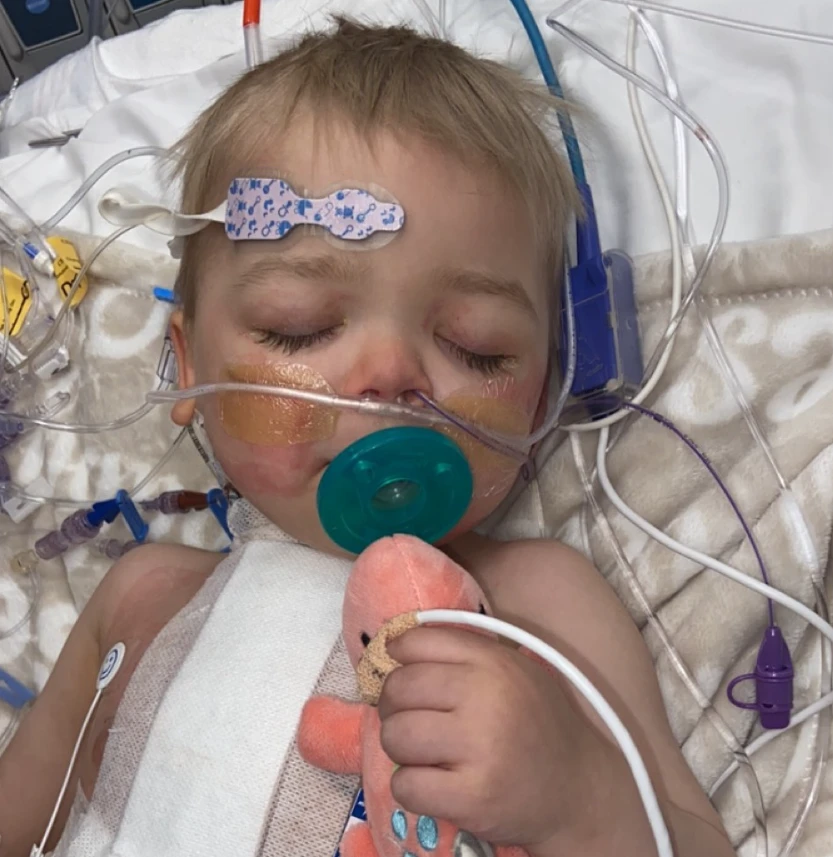 Emmett’s Heart Journey: A Miracle of Life, Love, and the Power of Community 5902