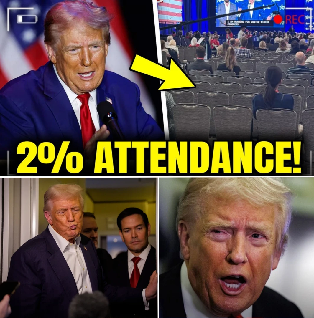 Empty Seats, Loud Streets: The Weekend That Exposed a Movement’s Turning Point