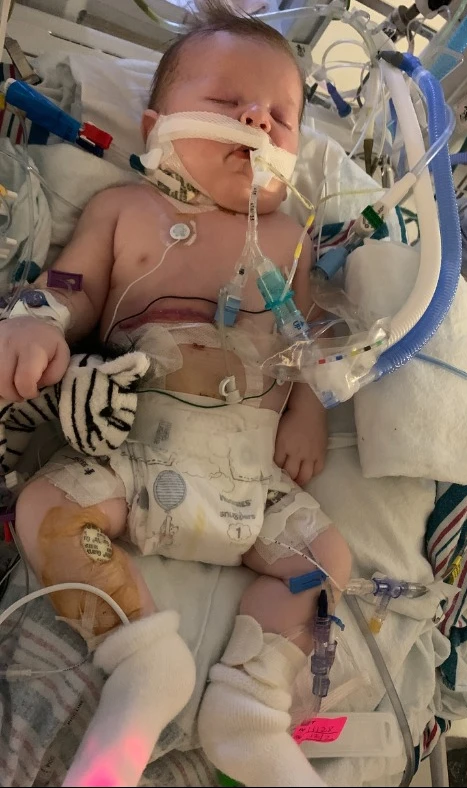 Oliver’s Journey: A Little Warrior's Triumph Over Adversity 5944