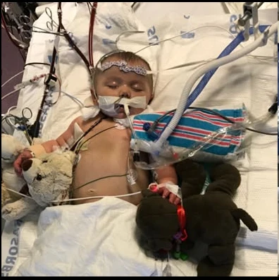 "Jack's Story: A Reminder to Protect Little Ones During Cold and Flu Season" 6031