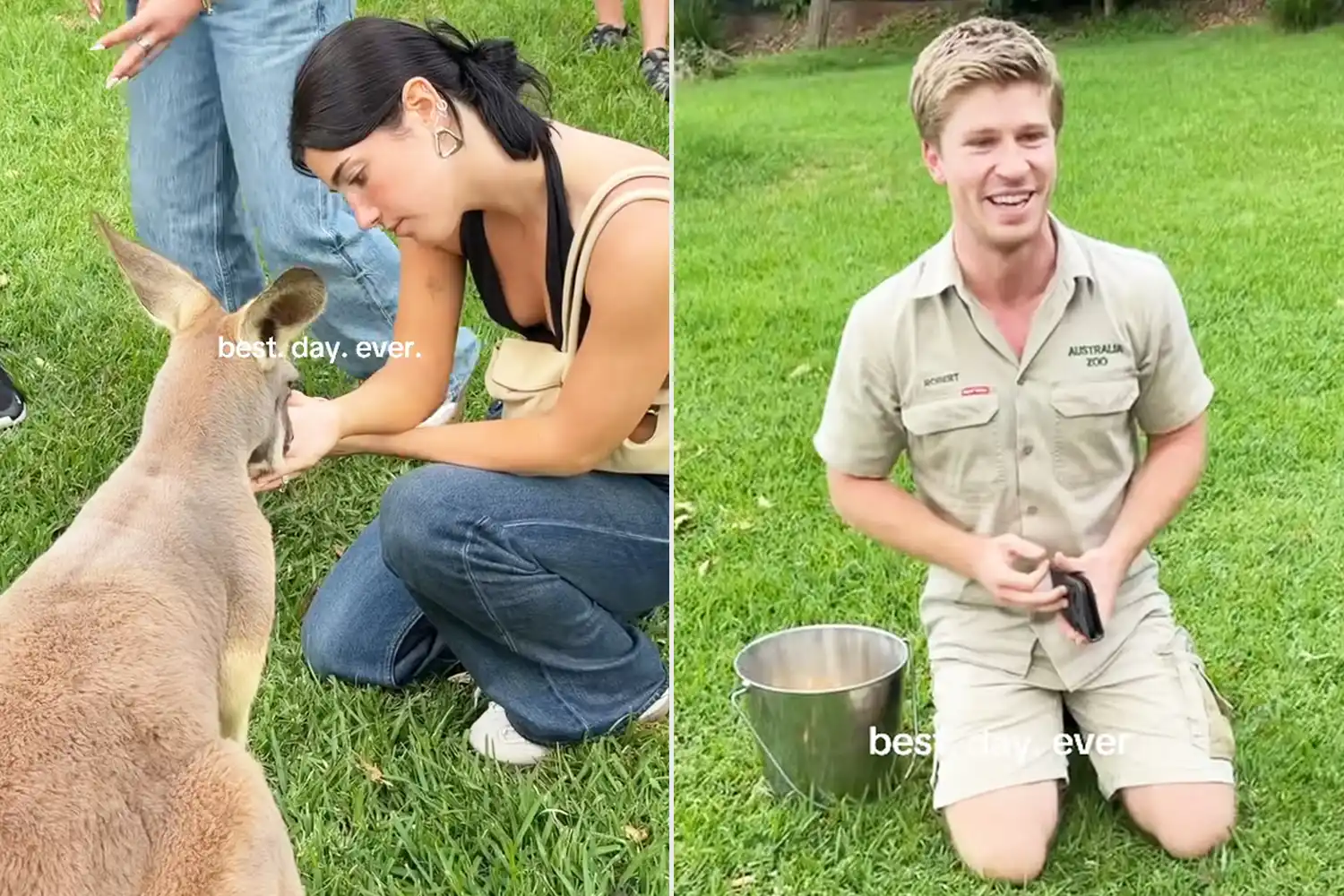 Robert Irwin Names Kangaroo After Fellow Dancing with the Stars Winner Charli D’Amelio
