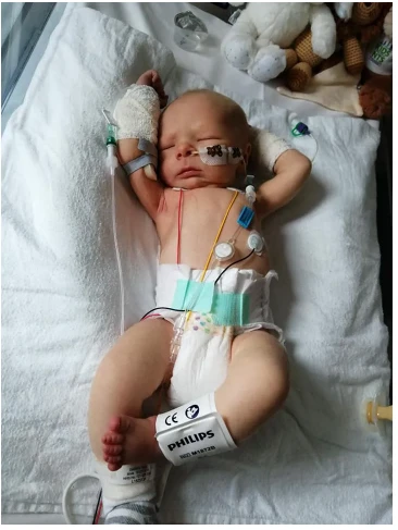 Finn’s Journey: From Heart Defect to a Miracle Baby 5858