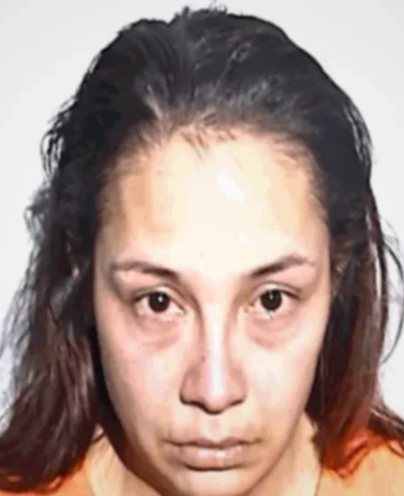 Chaos on a Toledo Sidewalk — Toddlers Nearly Lost as Mother Arrested for Child Endangerment.n156.40