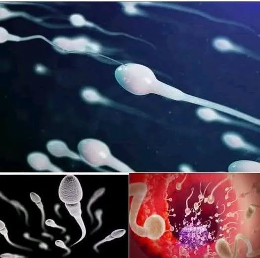 Studies reveal that swallowing your partner’s semen.. Details in Comments
