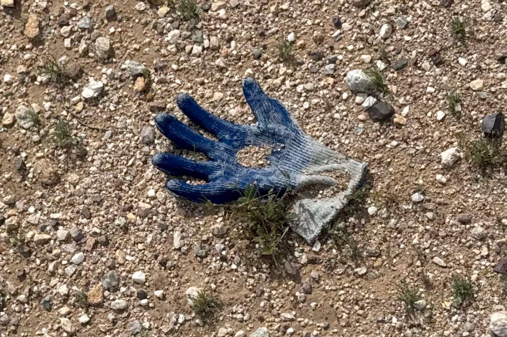 Multiple additional gloves found by The Post in same area near Nancy Guthrie’s house where FBI found potential evidence