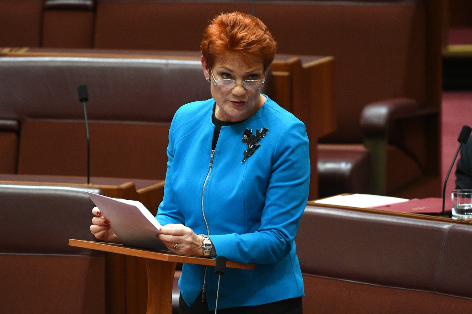 Pauline Hanson’s Justice Ultimatum Ignites Australia as the Nation Confronts Child Exploitation, Punishment, and Moral Reckoning Now - wnhuroyal