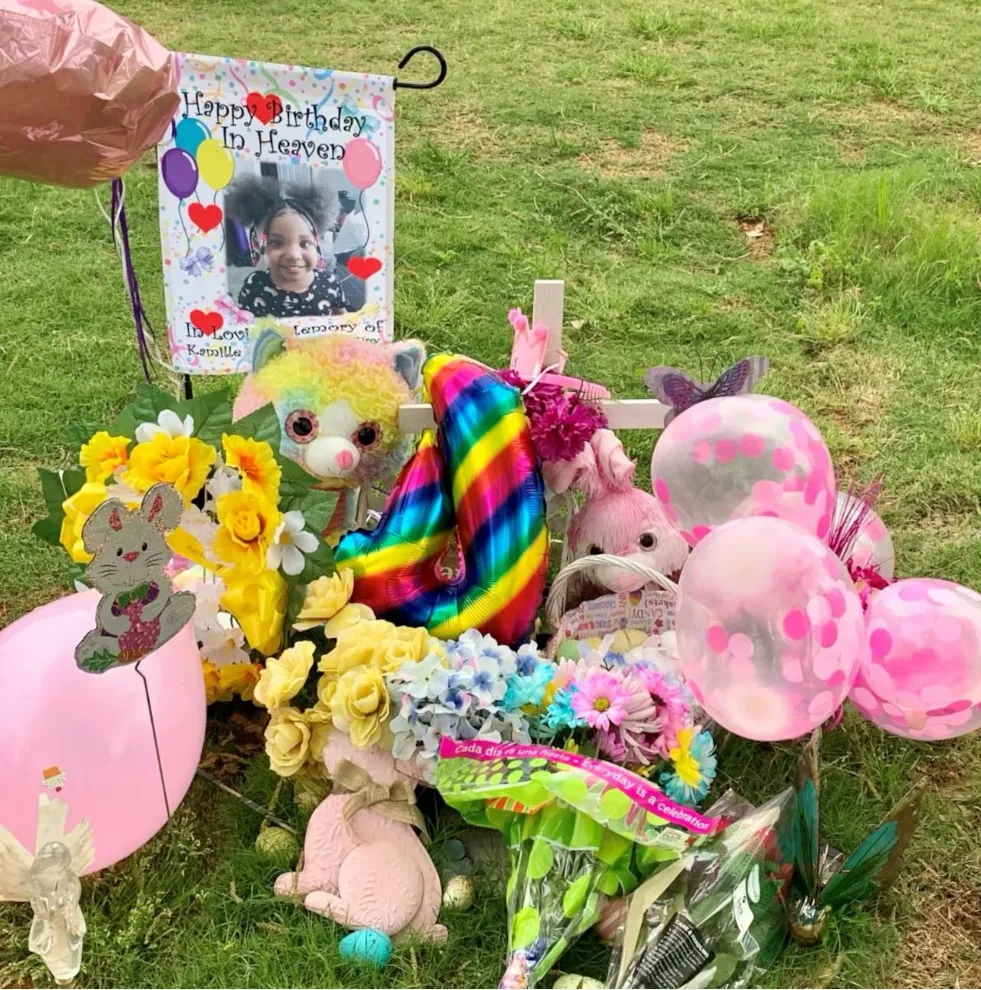 The Tragic Disappearance of Kamille McKinney: A Life Cut Short by Cruelty 4136