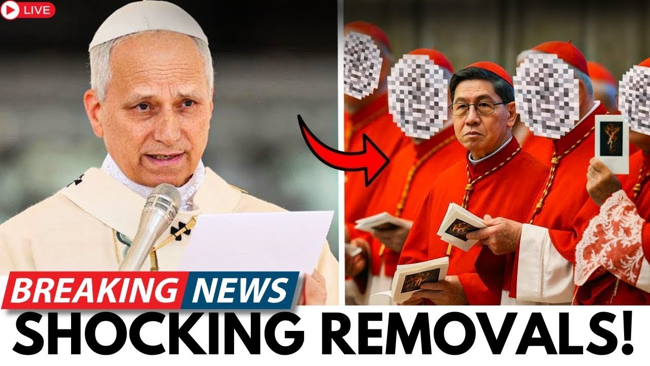 Pope Leo Reportedly Takes Action Against Top Leaders in Striking One-Day Shift