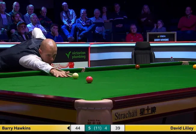 The Hawk’s Final Flight: Hawkins Clinches UK Championship Thriller with Snooker Masterclass.