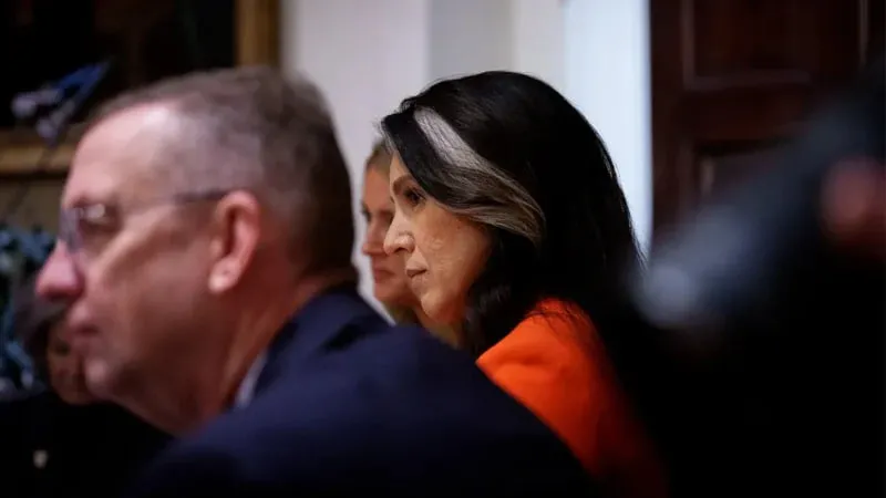 Tulsi Gabbard Suddenly the Subject Of ‘Scandal’ As She Closes In On 2020 Election Fraud