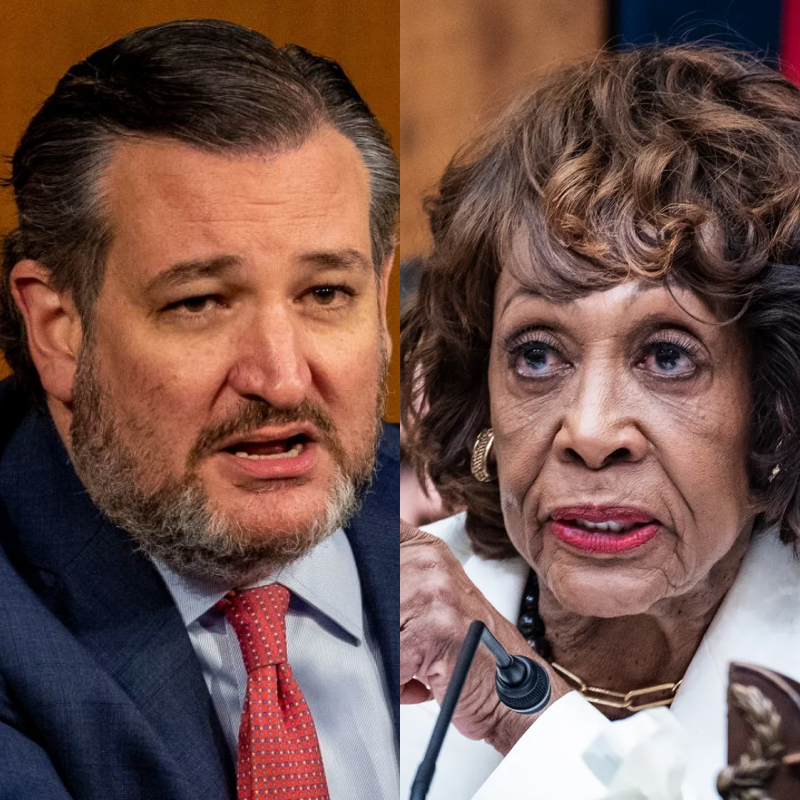 CONSTITUTIONAL BUZZSAW: Ted Cruz Destroys Maxine Waters’ 34-Year Political Dynasty in Banking Hearing Ambush