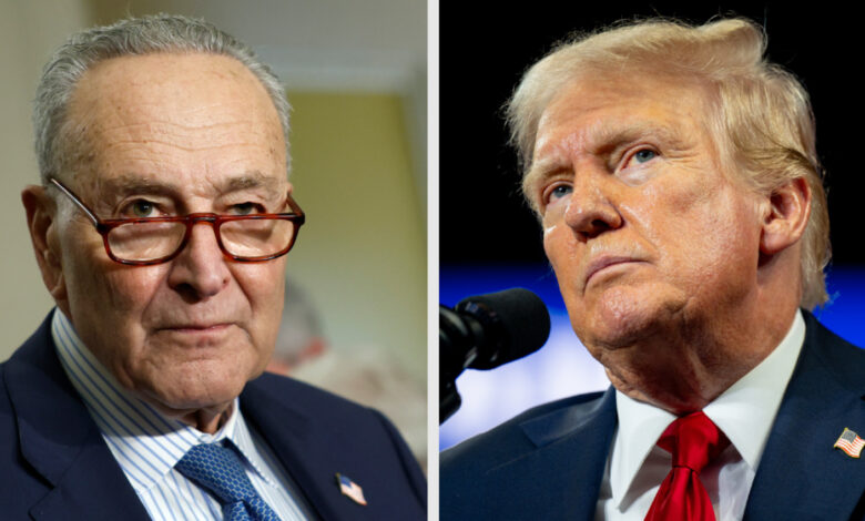 White House Slams Schumer For ‘Disgusting’ Shutdown Remark